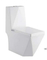 Round Shape S Trap 250mm Washdown One Piece Toilet Bowl Floor Mounted