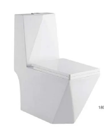 Round Shape S Trap 250mm Washdown One Piece Toilet Bowl Floor Mounted