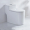 Siphonic Flush American Style Wc Water Ceramic Bathroom One Piece Toilet