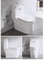 Sanitary Ware Toilet Ceramic Toilet Bowl Siphonic One Piece