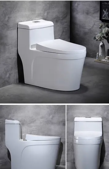 Siphonic Flush S Trap Toilet Sanitary Ware One Piece Toilet