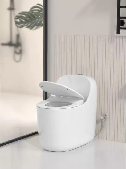 Nice Design Sanitary Ware Ceramic One Piece Toilet with Colored Line