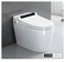 Electronic One Piece Smart Toilet