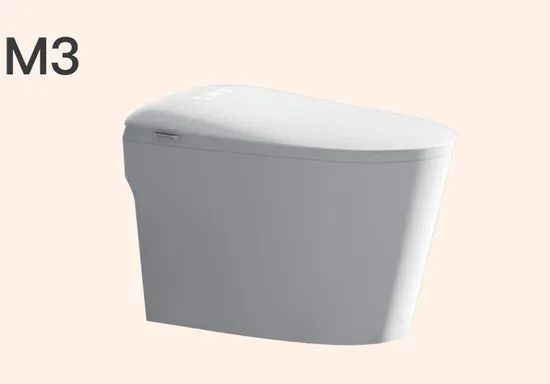 Flushing Oval Shape Porcelain Ceramic Bathroom One Piece Wc Toilet