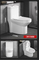 Chaozhou Sanitary Ware Factory One Piece White Color Toilet