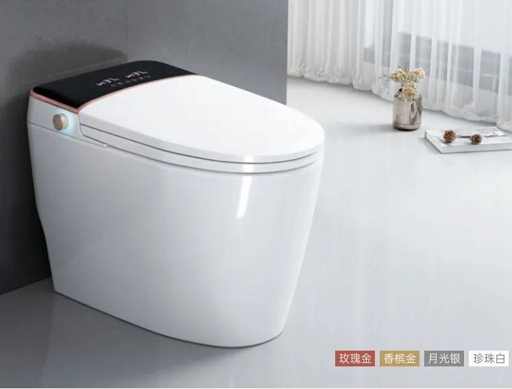 Electronic One Piece Smart Toilet