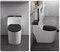 2023 Chaozhou Sanitary Ware S-Trap Water Saving One Piece Siphonic Toilet