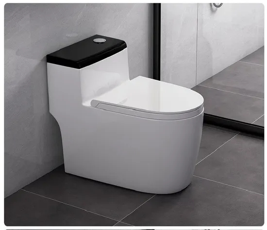 One-Piece Elongated Siphonic Toilet with Dual-Flush and Soft-Close Seat