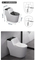Sanitary Fixtures Water-Efficient Comfortable Seating Ceramica One Piece Toilets