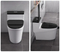 Sanitary Fixtures Water-Efficient Comfortable Seating Ceramica One Piece Toilets