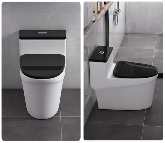 Sanitary Fixtures Water-Efficient Comfortable Seating Ceramica One Piece Toilets