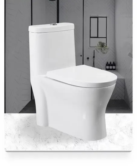 Sanitary Wares Porcelain One Piece Toilet Bowl