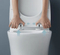 Hot Sale Washdown Sanitary Ware One Piece Toilet Bowl Colored